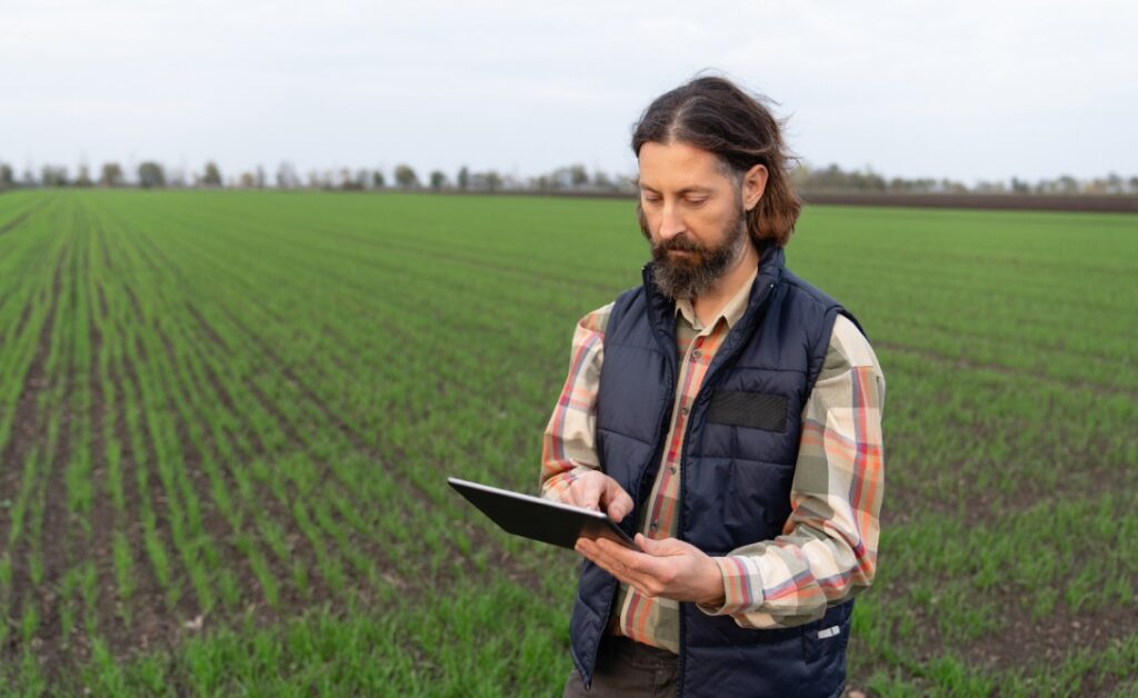 Homme dans un champ regardant sa tablette